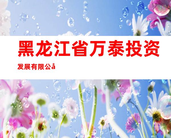 黑龙江省万泰投资发展有限公司